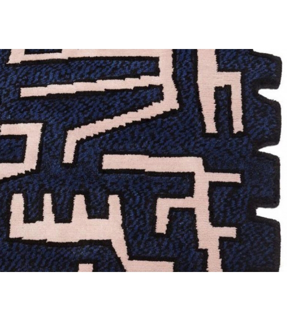 Ciliophora Rectangular Nodus Rug