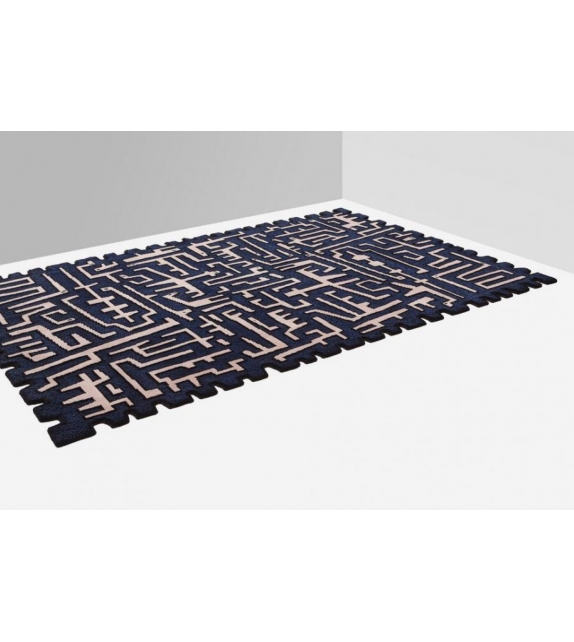 Ciliophora Rectangular Nodus Rug