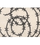 Barbed Wire Nodus Rug