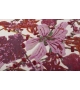 Savage Flowers - Red Harmony Nodus Alfombra