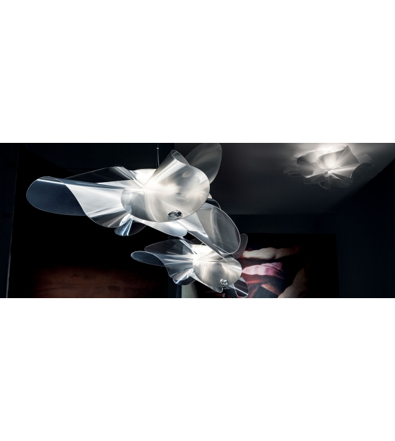Etoile Slamp Ceiling-Wall Lamp