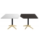 Zen Gallotti&Radice Table Basse