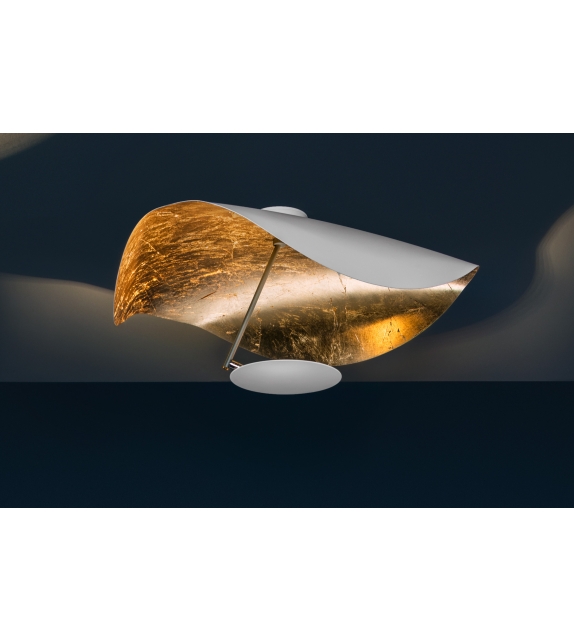 Lederam Manta CWS1 Catellani&Smith Ceiling / Wall Lamp