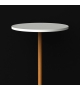 Twig Boffi Table D'appoint