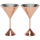 Plum Martini Tom Dixon Set von 2 Gläsern