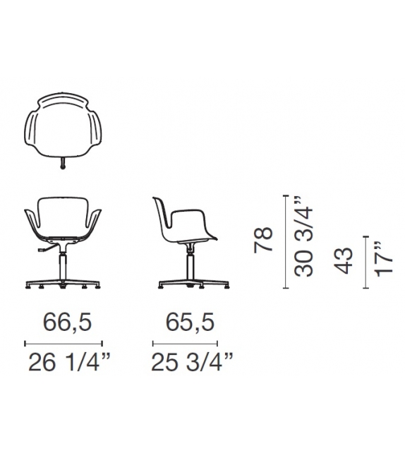 Juli Plastic Cappellini Petit Fauteuil avec Base 5 Étoiles