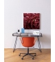 Juli Plastic Cappellini Small Armchair with 5 Star Base