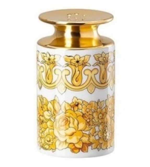 versace salt and pepper shakers