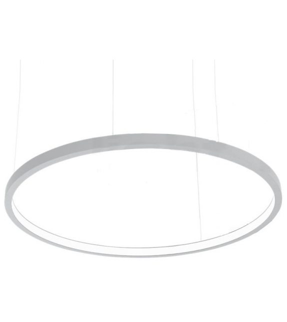 Loop Martinelli Luce Suspension