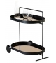 Atollo Minotti Italia Trolley / Coffee Table