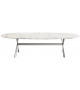 Gatwick Molteni & C Oval Table