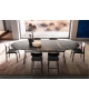 Gatwick Molteni & C Oval Table