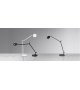 Demetra Artemide Table Lamp