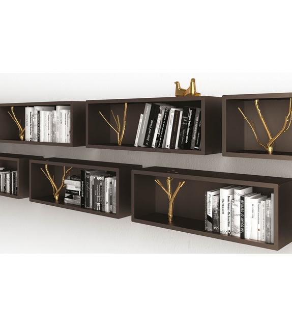 Tri Minotti Italia Shelf / Container