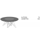 Ennea Ligne Roset Table Ronde