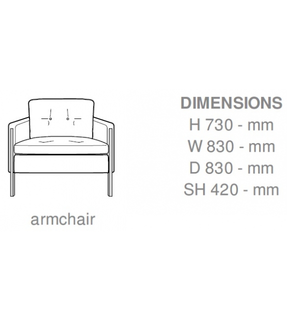 Andy Ligne Roset Armchair