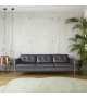 Andy Ligne Roset Divano