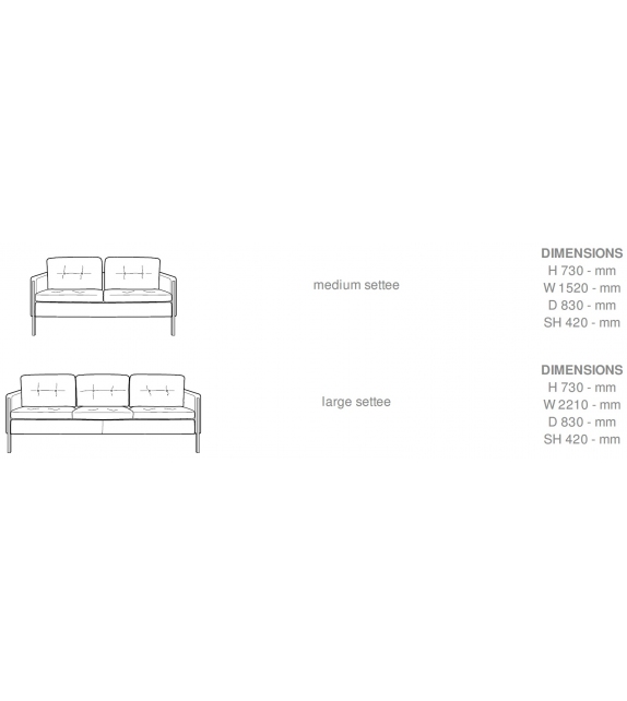 Andy Ligne Roset Canapé