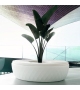 Vases Vondom Isla con Acolchado