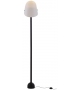 Courrier Ligne Roset Floor Lamp