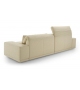 Grand Angle Ligne Roset Canapé