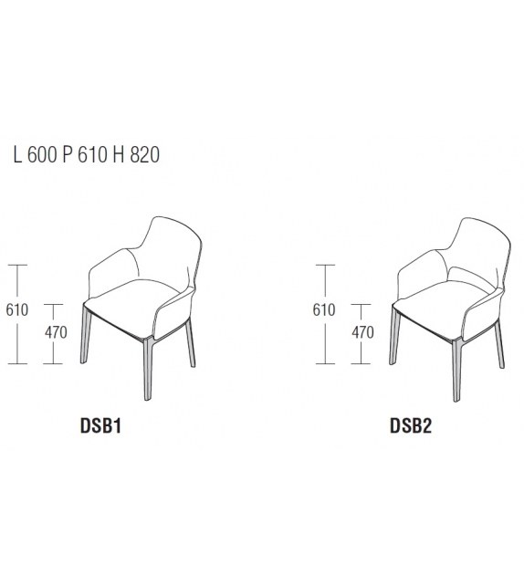 Devon Molteni & C Chair with Armrests