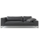 Exclusif 2 Ligne Roset Canapé