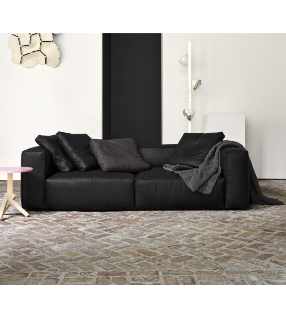 Nils Ligne Roset Canapé