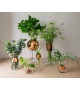 Vase Tank Medium Tom Dixon