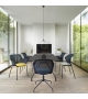 Piccione Ligne Roset Chair