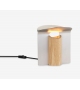 RF200 Petal Lamp Carl Hansen & Søn Table Lamp