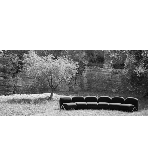 Victoria Tacchini Sofa