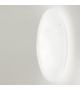 Moris Vistosi Wall/Ceiling Lamp