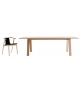 Bac Rectangular Table Cappellini