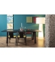 Bac Rectangular Table Cappellini