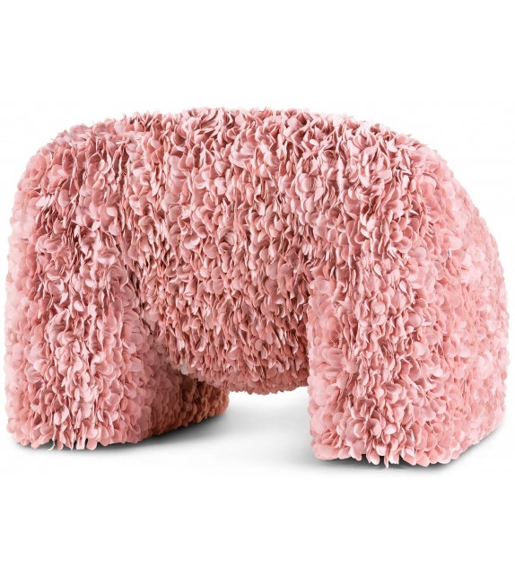 Hortensia Moooi Armchair