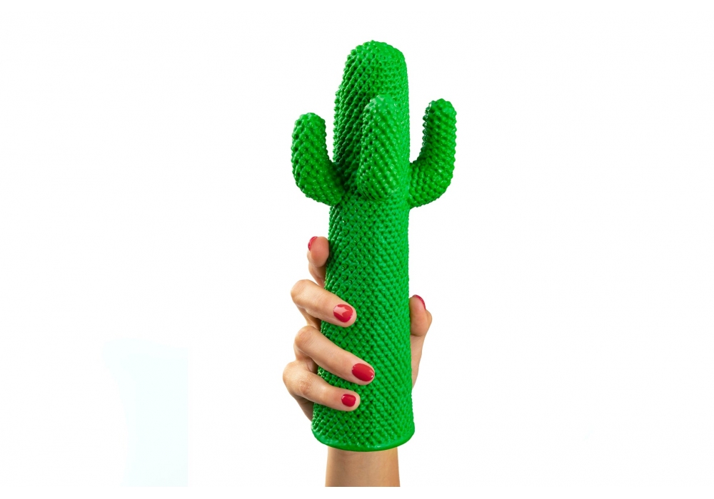 Ready for shipping - Cactus Guframini Miniature - Milia Shop
