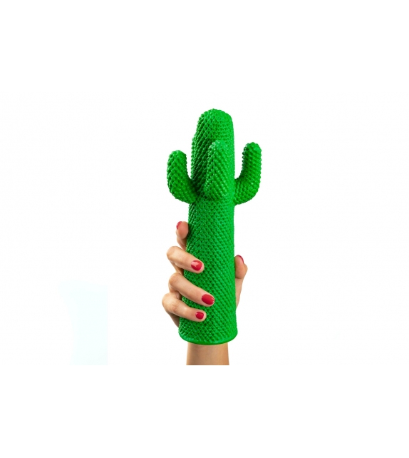 Listo para entregar - Cactus Guframini Miniatura