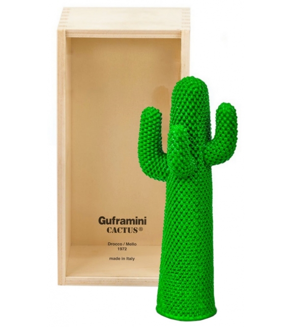 Prêt pour l'expédition - Cactus Guframini Miniature