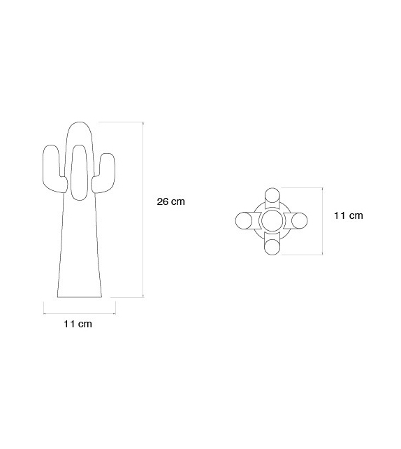 Prêt pour l'expédition - Cactus Guframini Miniature