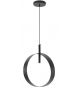 Led Loop SS Riflessi Pendant Lamp