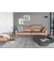 DS-87 De Sede Sofa