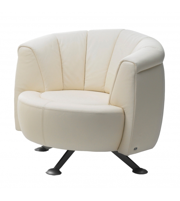 DS-164 De Sede Fauteuil