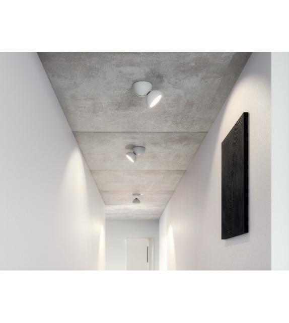 Dodot Axo Light Wall/Ceiling Lamp