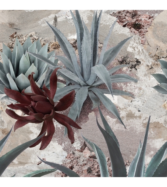 Desert Flowers Wall&Decò Carta da Parati