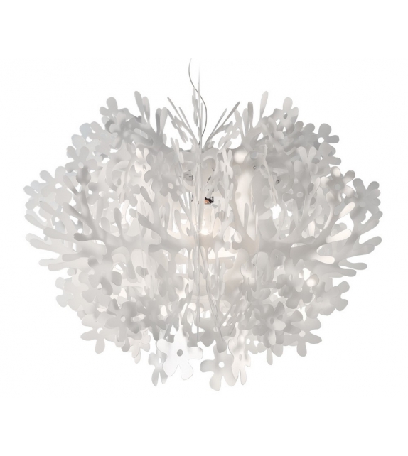 Fiorella Slamp Suspension