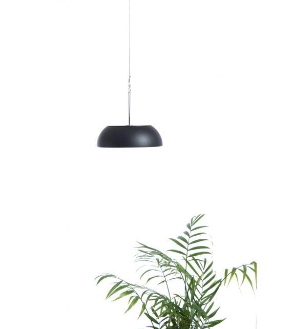 Float Axo Light Suspension