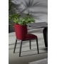 Joy Bonaldo Chair