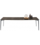 Liuto Alivar Table