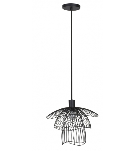 Papillon Forestier Suspension